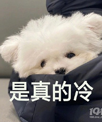 最近好冷,大家有什么办公室的取暖好东西推荐吗?