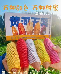 [�ƺ�����]��������һ�θ㶨������������ѡ��