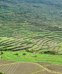 ����ͽ����شɽ  ���˵�һ�߷壡