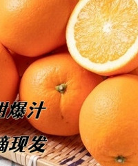 ���۱�֭�ĸ�����ȣ���ժ�ַ� �����ʣ�