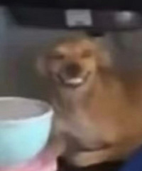 ��������������