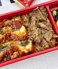 �Ƽ�һ����ɭ�㵱�������ţ˫ƴ���޵кó� �����е�С��ûë��