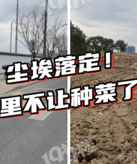 ͵�˵ĺ��ֲ˵��Ķ����ˡ�