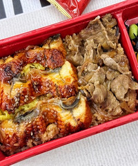 ��ɭ�㵱ѡʲô�������ţ˫ƴ��������Ժ��ˣ�