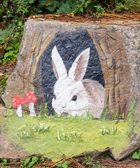 ���������е�����