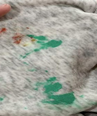 �����ˣ��׶�԰�治�ܼҳ�����