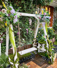 �򿨼�����ҳ��ÿ��Ŀ��ȵ꣡�о�����������ɭ�֣�