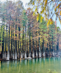 ͽ������ɽˮ�ؾ� ̽�غ�ɼ�� ��������10����