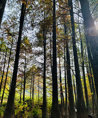 ͽ������ɽˮ�ؾ� ̽�غ�ɼ�� ��������10����