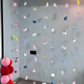 ����Ƭ����������