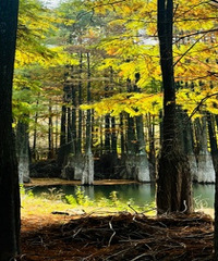 ͽ������ɽˮ�ؾ� ̽�غ�ɼ��