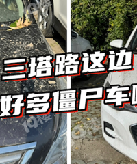 ��������������ߣ����ơ�