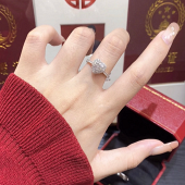 ����õļٽ�ָ��