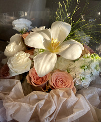 ���и߷��������ĸ����˸�ð������ ���������µı���Ҳ����Ⱦ��