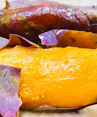 ���Կ������Ķ����ǲ������ģ�����ŴŴ�� �Ѿ�������ˣ�