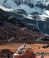 �¸ҵ����������磡������ɽ������ ֻ�о�η�к�ѹ�ȸ�