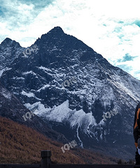 ¸ҵ磡ɽ ֻоηкѹȸ