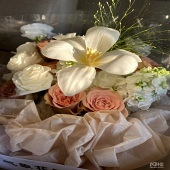 �����ĸ���ð������