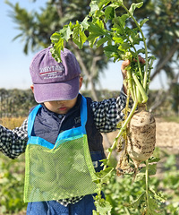 �����߲�԰�����޲��߲ˡ�ιС��С���浽����ؼң�