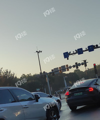 ������߷�Ĺ������������Ĳ����գ�һֱ�����ڿ���