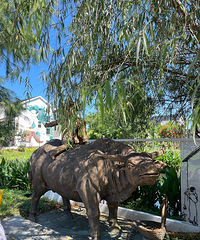 ͩ��ʯ������������