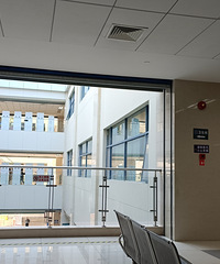 ���ӵı������˺þ�