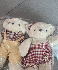 ��������ſ�ʼ�븸ĸ��ֹ�������������ľ�ƣ����