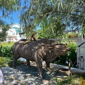 ͩ��ʯ������������