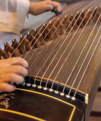 ����������ѧ��ǰ��������ú���ѡ���˹��� ���ںܺ��