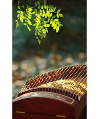 ����������ѧ��ǰ��������ú���ѡ���˹��� ���ںܺ��