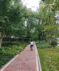 ���޲��Ǻõľ�����