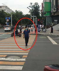 ������֧�����˷��ԣ���������·�ڸ�����Ƶ��˿�������