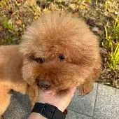 ����ѵ��Ծ�