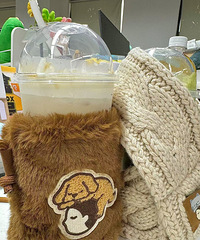 �ɰ����ˣ�ϲ��������ë���ӵĹ��������ף�