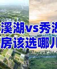 ˫Ϫ��vs��������ѡ�ĸ���