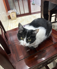 ����������Ѱè���ṩ������ʵ��500���ҵ���2000��