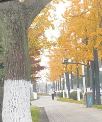 上班路上遇到心动的TA