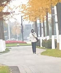 �ϰ�·�������Ķ���TA