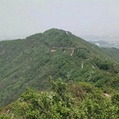 ��������ɽ����ˬ˭��