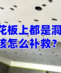 ������û��Ϳ�����ᣬ�����컨�嶼�Ƕ�...