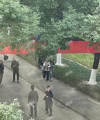 �������������������ż����ٳ��ƽ��������Ϸ��