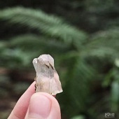 ���Ӷ����㰾��ͷ