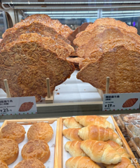 ����ʲô��ͥ�Ե�����20+һ����������������������Խ��Խ��