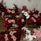 ���Ʒ��滨 �����ˣ�