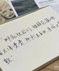 【年底脱单】年底了又是一个人了…..我和我最后的倔强