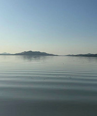 �����׶�԰�� ������ѧ��С������������Ϣ��Ȩ����û��