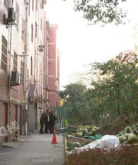 ���������꣬������ͣ����Խ�㻨԰ҵ�����ĺ�����