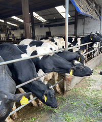 ���Ӷ������������� ��������� ÿ���ʺ����