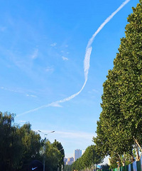 Ϊʲô���ڵ���ɩԽ��Խ�����ˣ������һ��00�����ɩ��