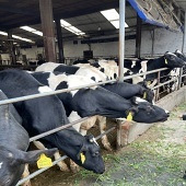 ���Ӷ�������������